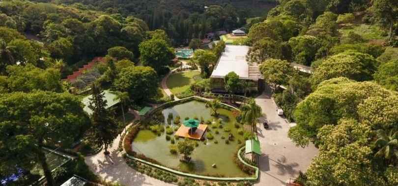 Unique Garden