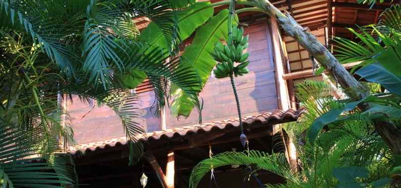 Funky Monkey Lodge