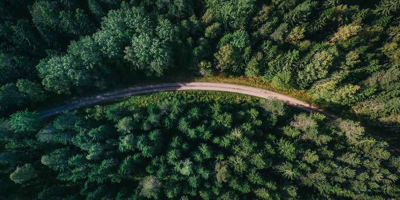 Санатории в лесу: топ объектов 2023 года с описанием преимуществ