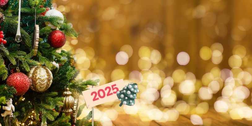 Новый год 2025 в санаториях и отелях Беларуси