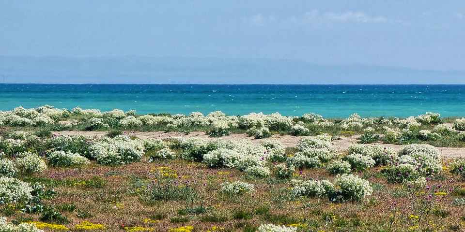 Отдых в санаториях Евпатории