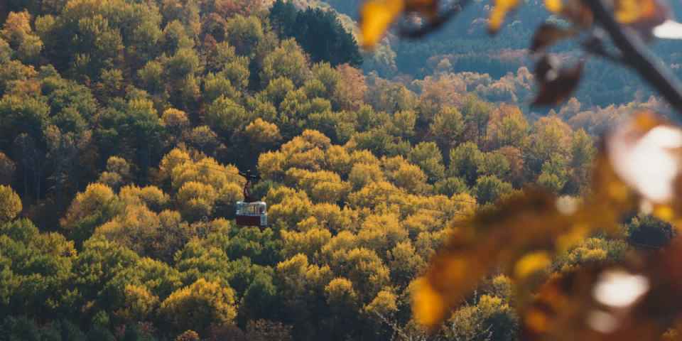 Отдых в санаториях Кисловодска