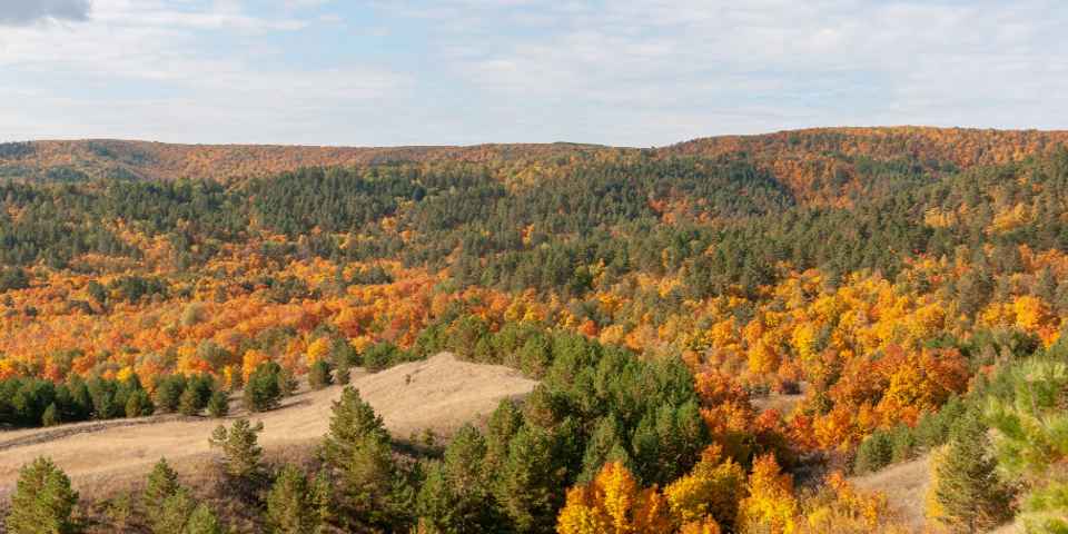 Отдых в санаториях Саратовской области