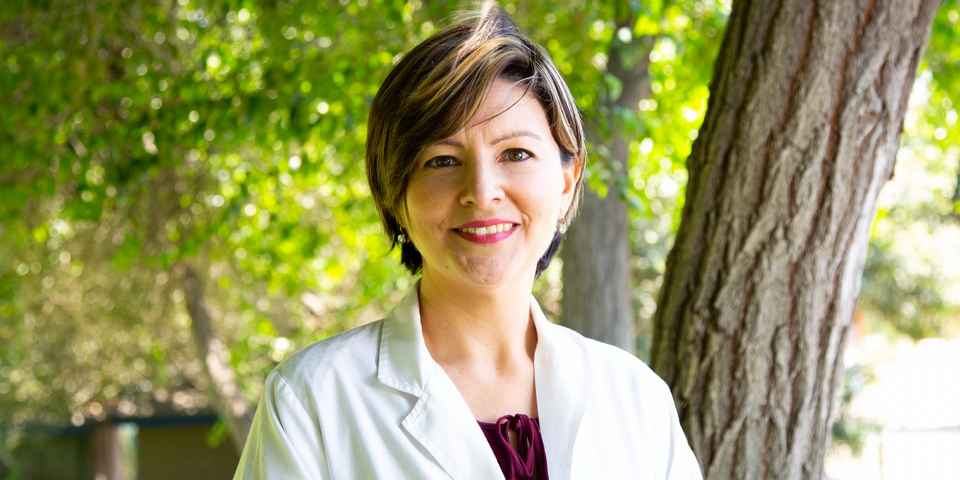 Как получить сан-кур карту в санатории