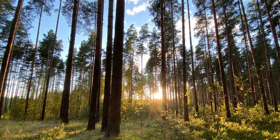 Отдых в санаториях Твери