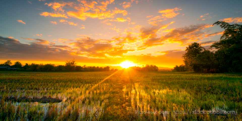 Отдых в санаториях Кемерово