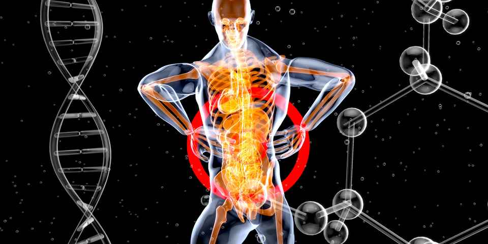 Причины геморроя