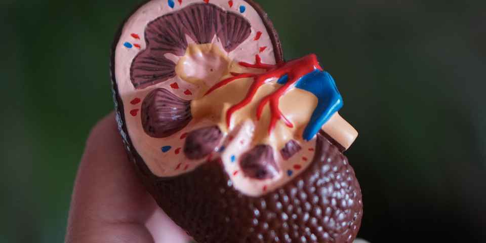 Урологические санатории эффект&nbsp;