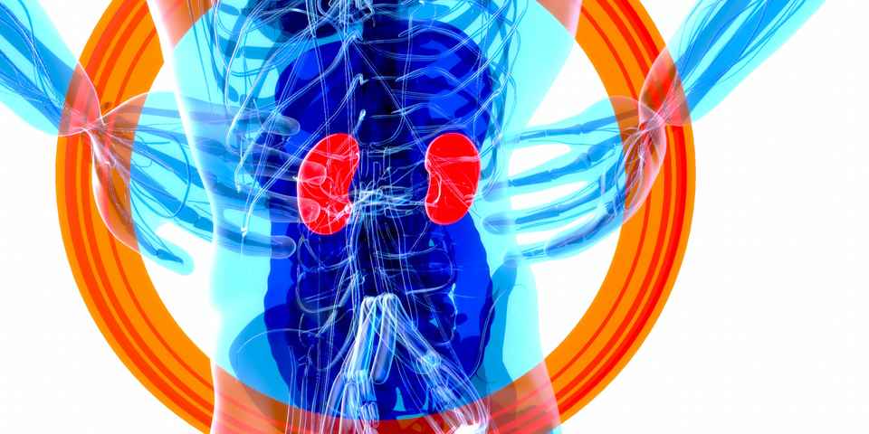 Курорты при болезнях почек