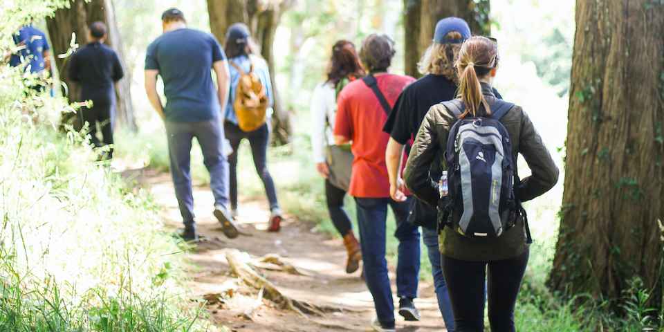 Техника терренкура