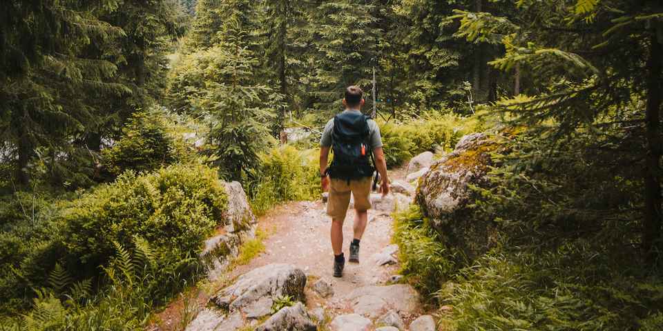 Что такое терренкур