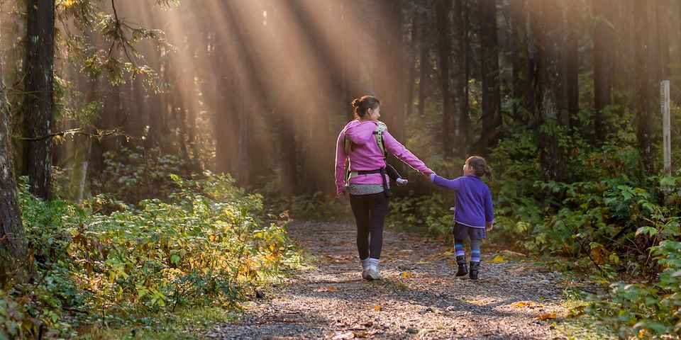 Виды терренкуров