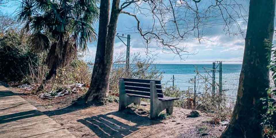 Тропа Здоровья в Сочи