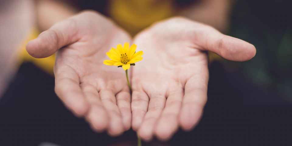 Процедуры для лечения артрита и артроза