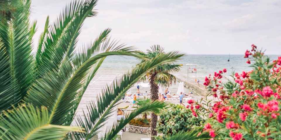 Отдых в санаториях Сочи