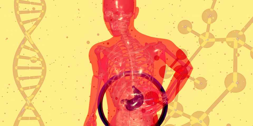 Процедуры для лечения печени