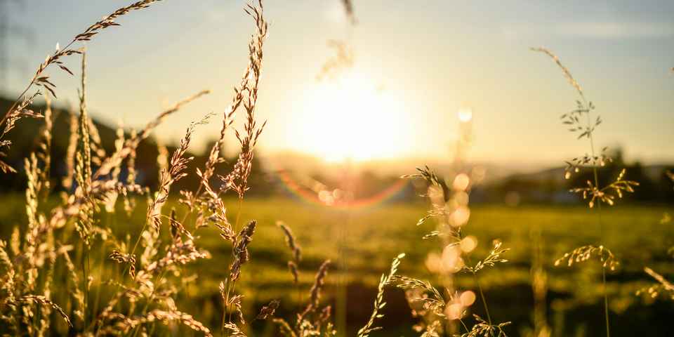 Лечение ультрафиолетом