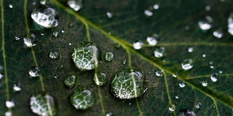 Польза воды