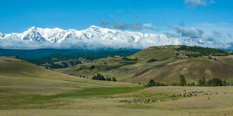 отдых на Алтае со спа